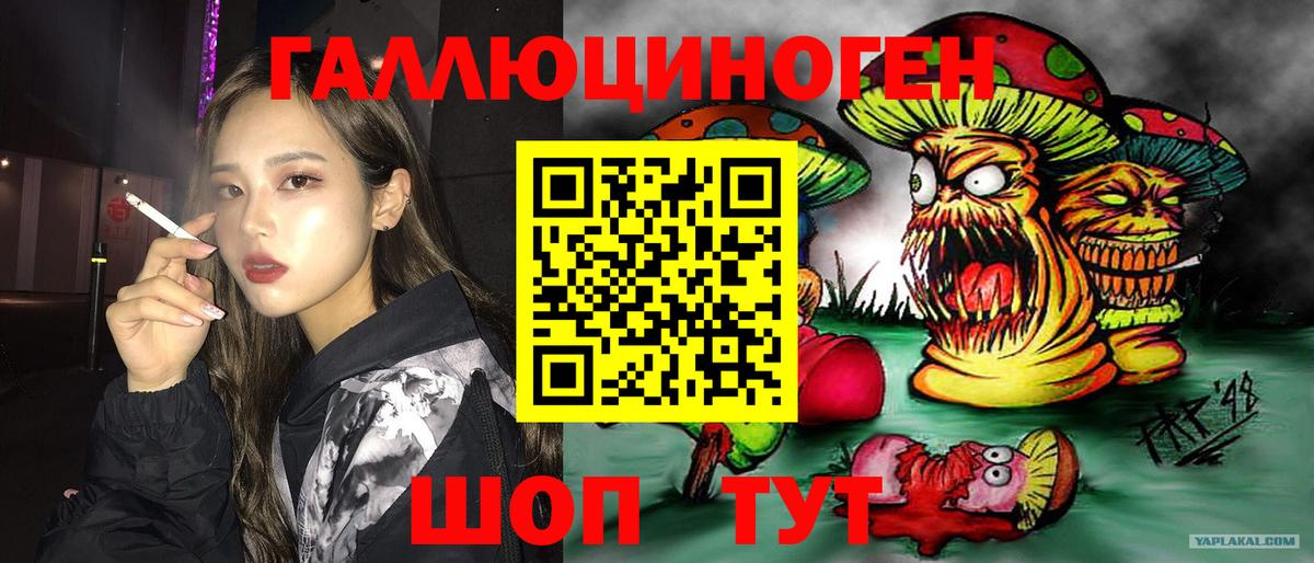Галлюциногенные грибы прущие грибы Магнитогорск